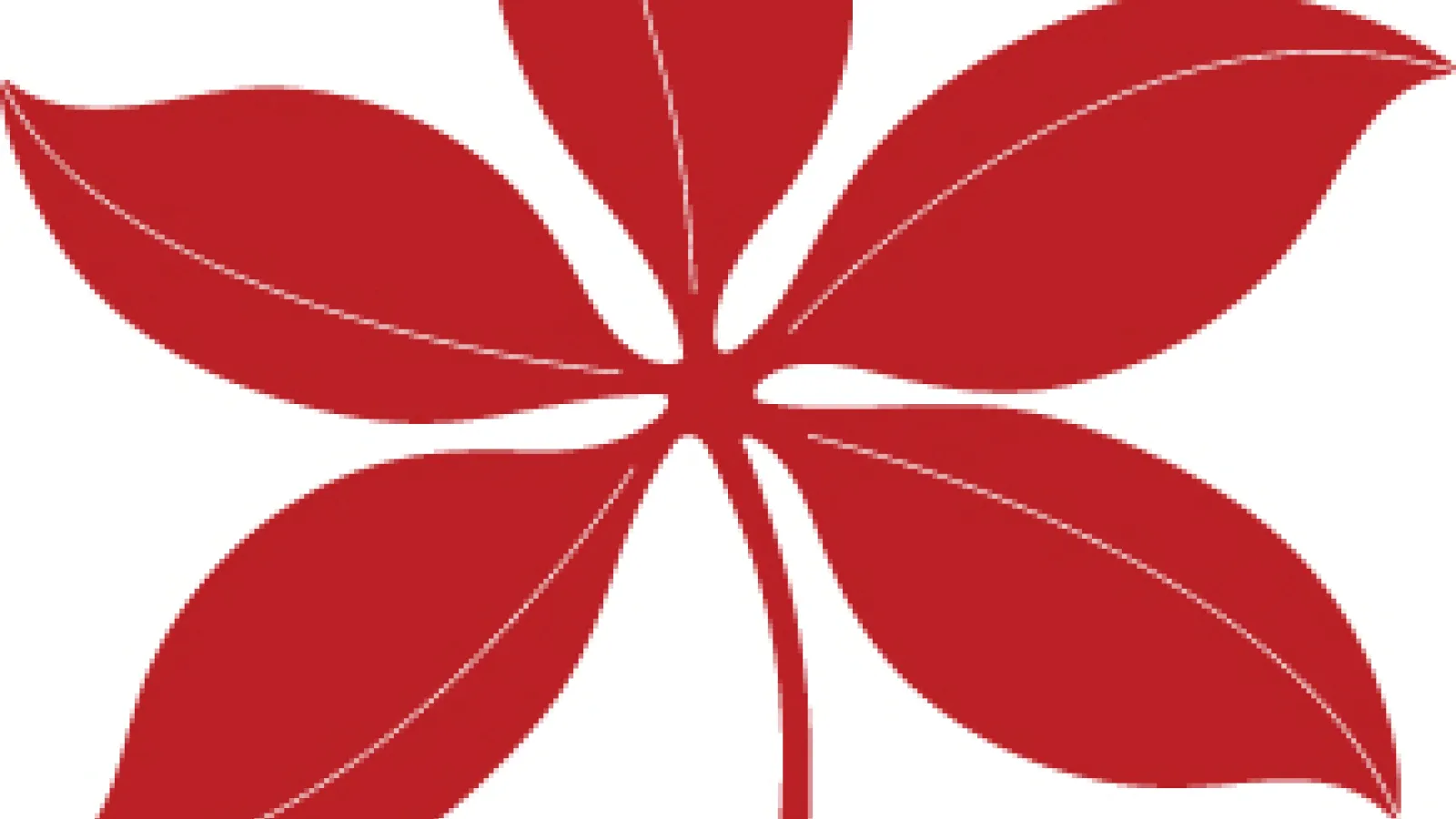buckeye leaf