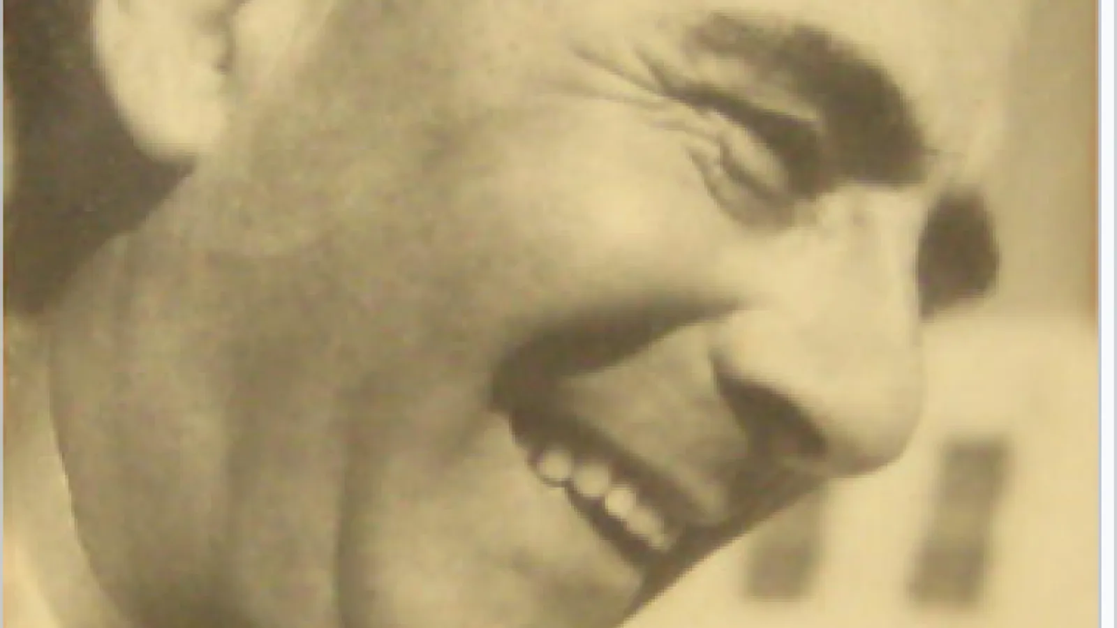 Areyh Ludwig Strauss