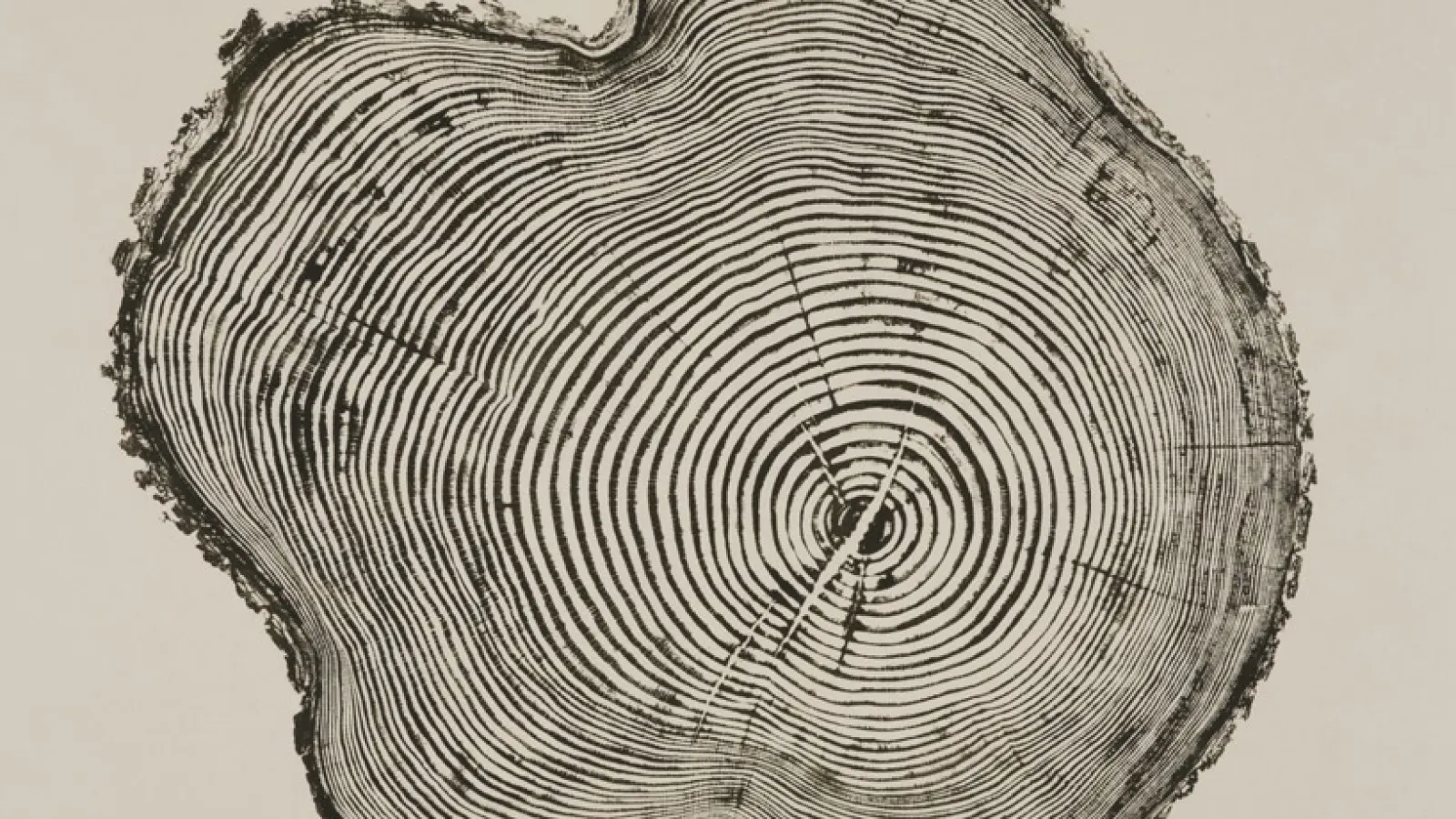 Metaphors of Time conference, April 11-12