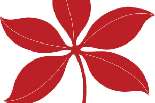 buckeye leaf