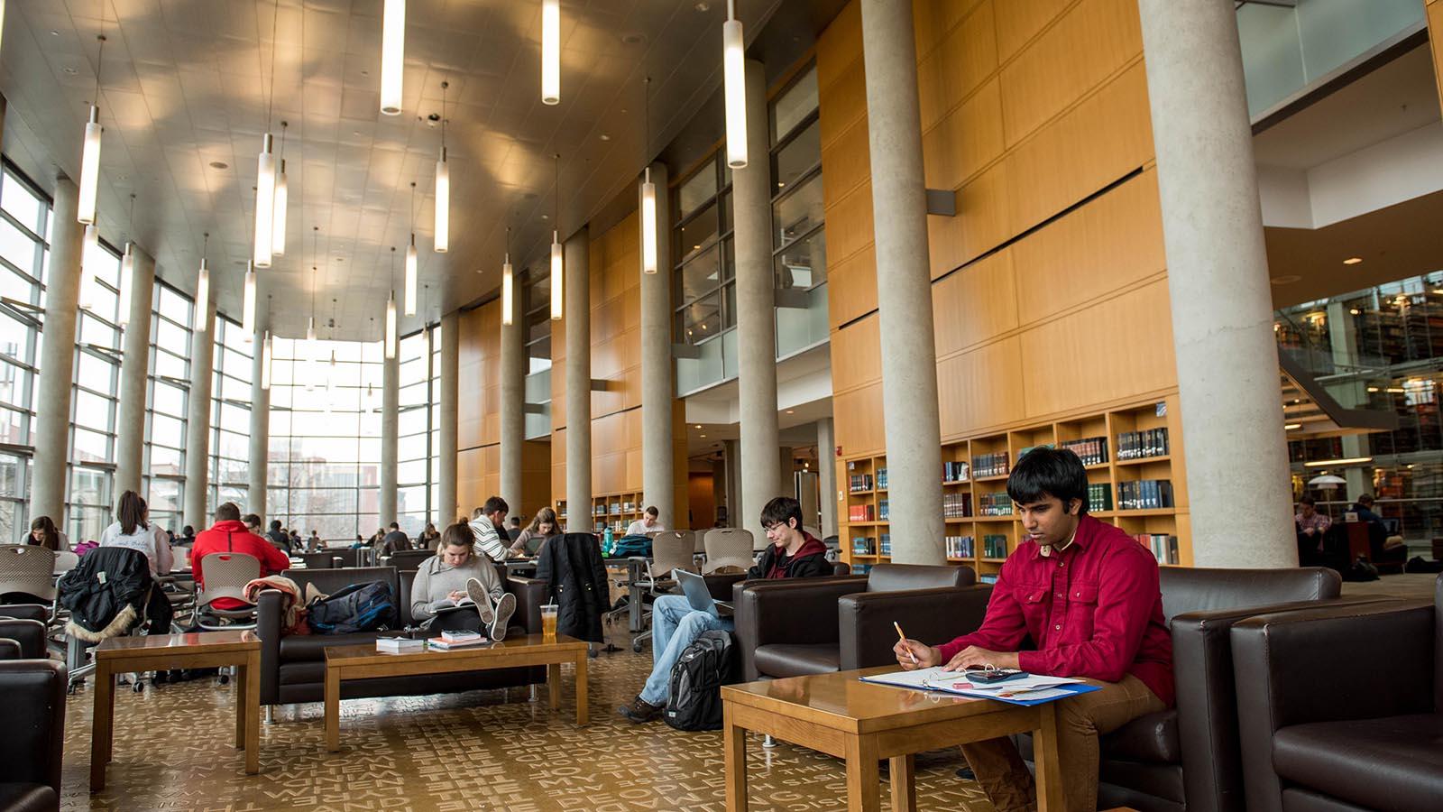 Students studying in library